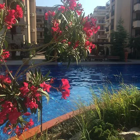 Cascadas 7 Studio Sunny Beach