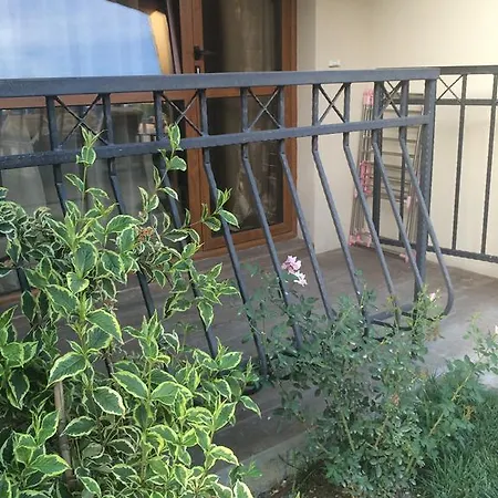 Apartament Cascadas 7 Studio Słoneczny Brzeg